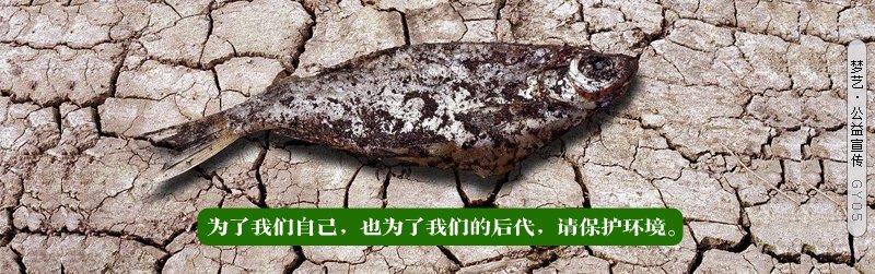 橘皮木香肉片汤的做法详细介绍