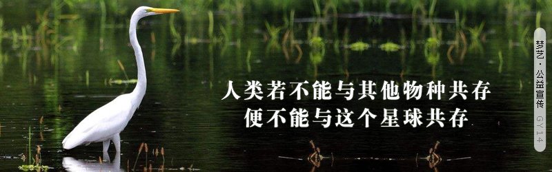 菜泥的做法详细介绍