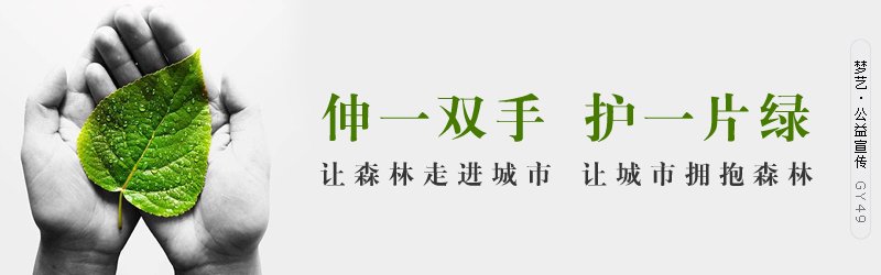 伤害宝宝肠胃的16错误做法