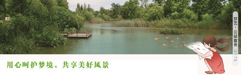 儿童智力结构的四大方面