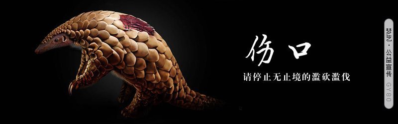 早期胎教是关键