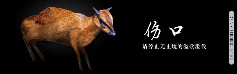初为人母，应避免喂奶的七大误区